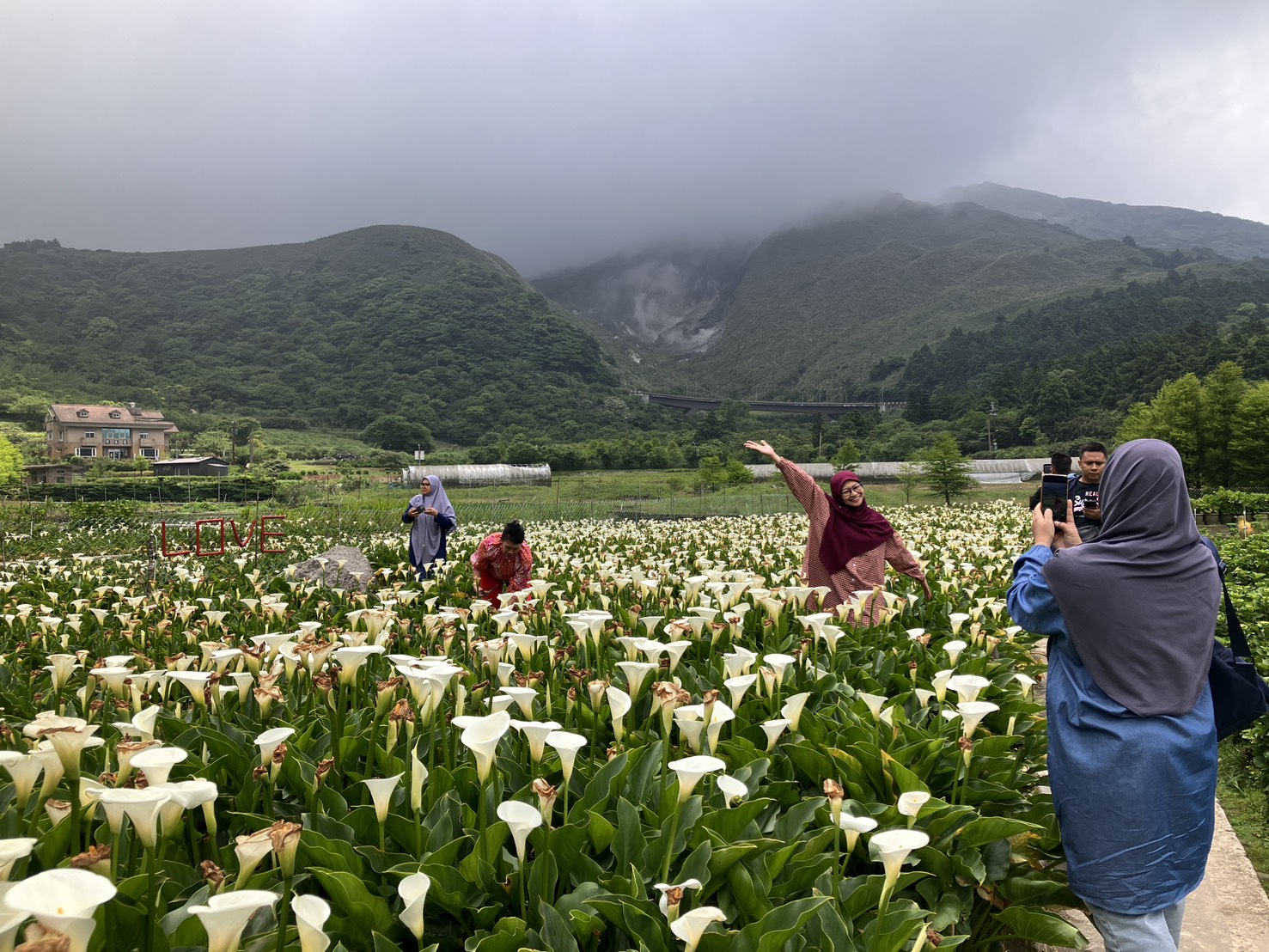 S__13877347 在財福賞花