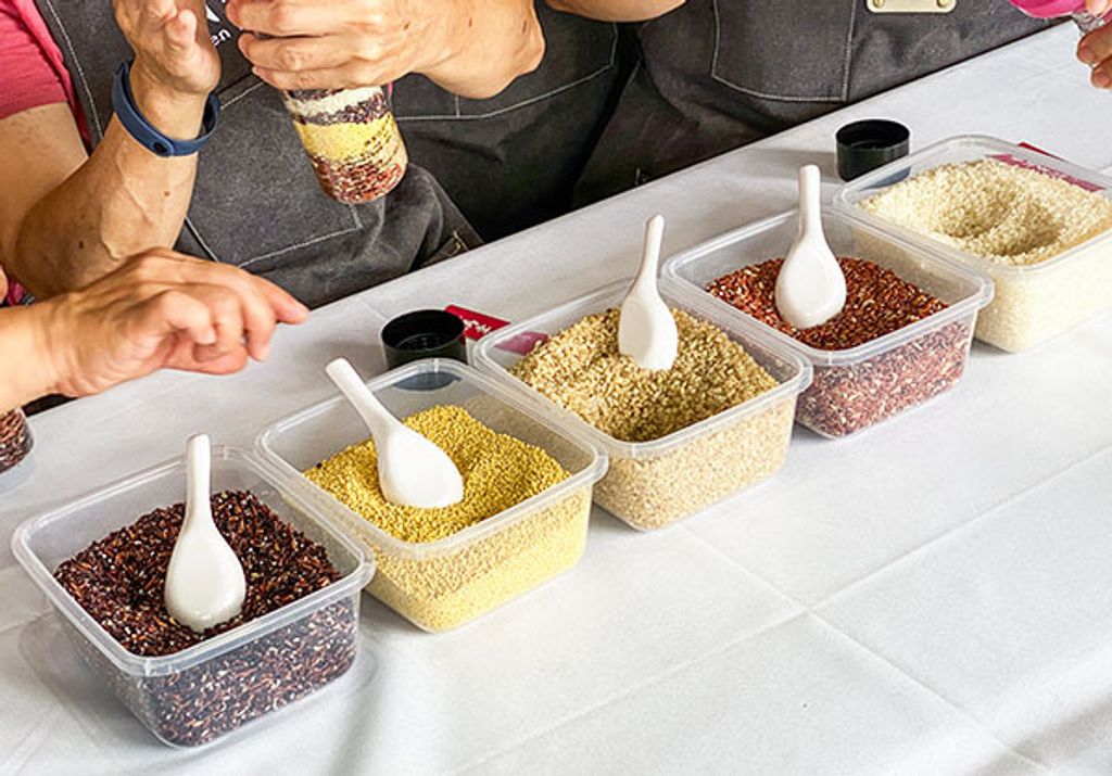 [Chen Manor] The Life of Rice & Sensory Experience (TEST)