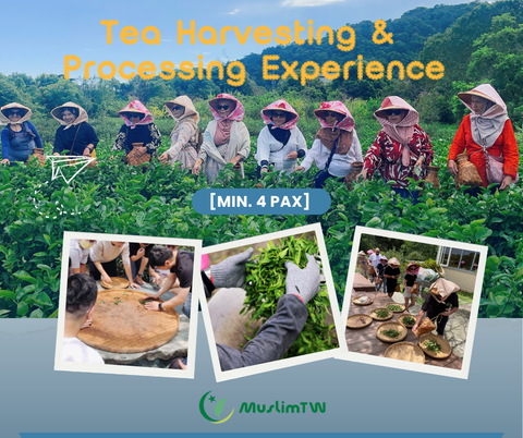 1-製茶體驗-封面