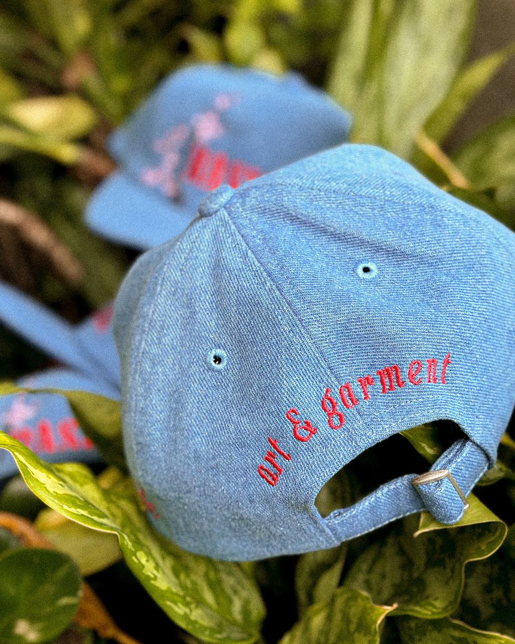 image_BE17F9E5-6C35-4162-B17B-04C112F18743_1764645596