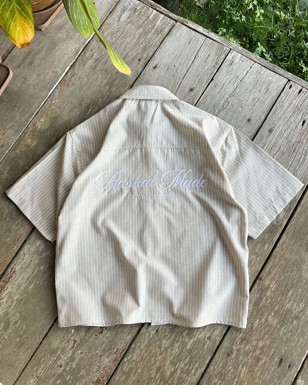 image_AE6CF7CD-9A3E-4627-976F-0E30B1E82427_1768310404