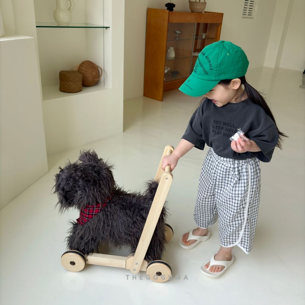 1773726556_6689404383