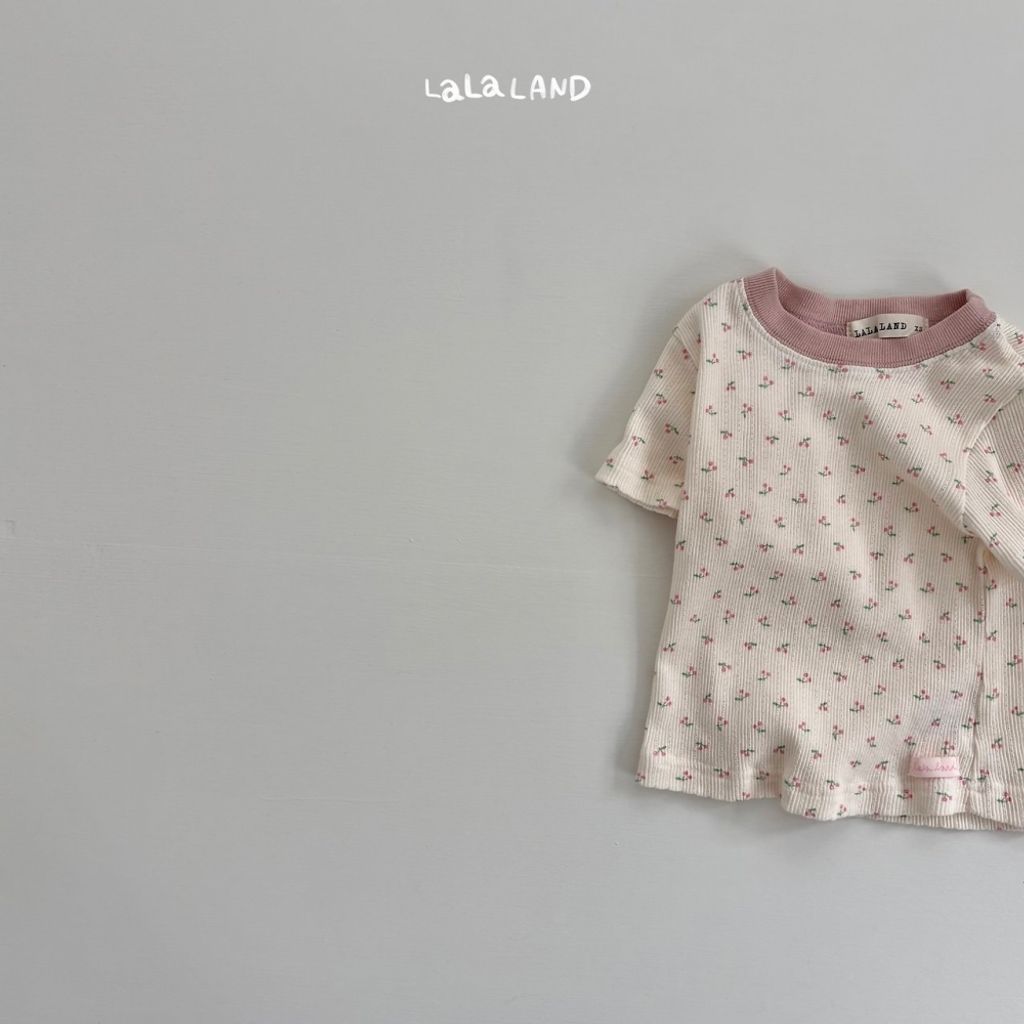 1775460146_3214260550