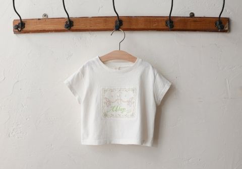 1744076219_6042145555