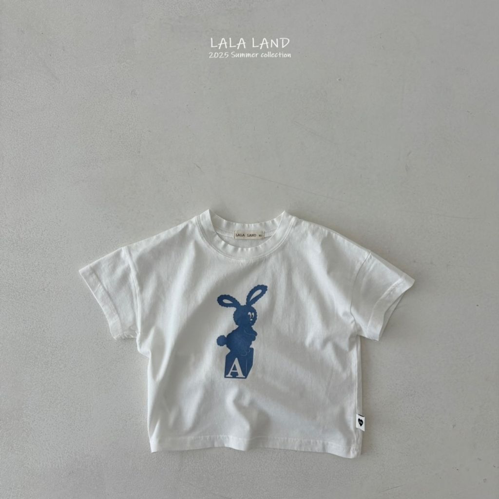 1744083955_3453650940