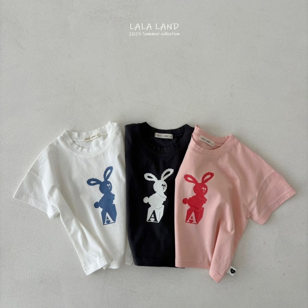 1744083996_6793393228