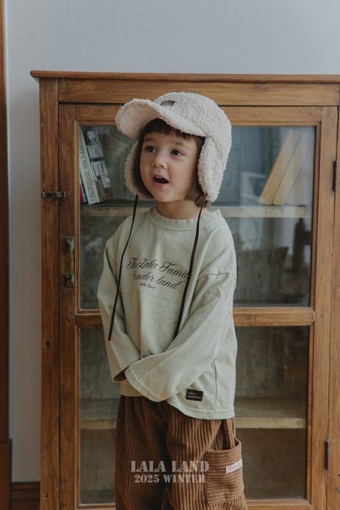 1762339252_8727361380