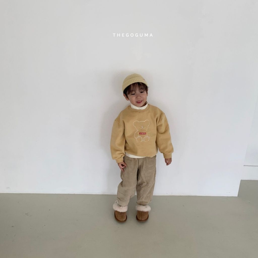 1761109778_1145499819