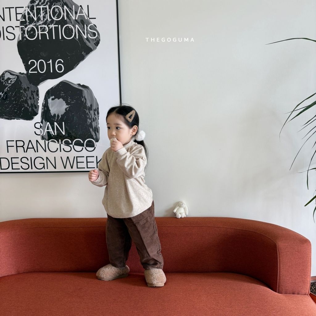 1761109702_6334138454