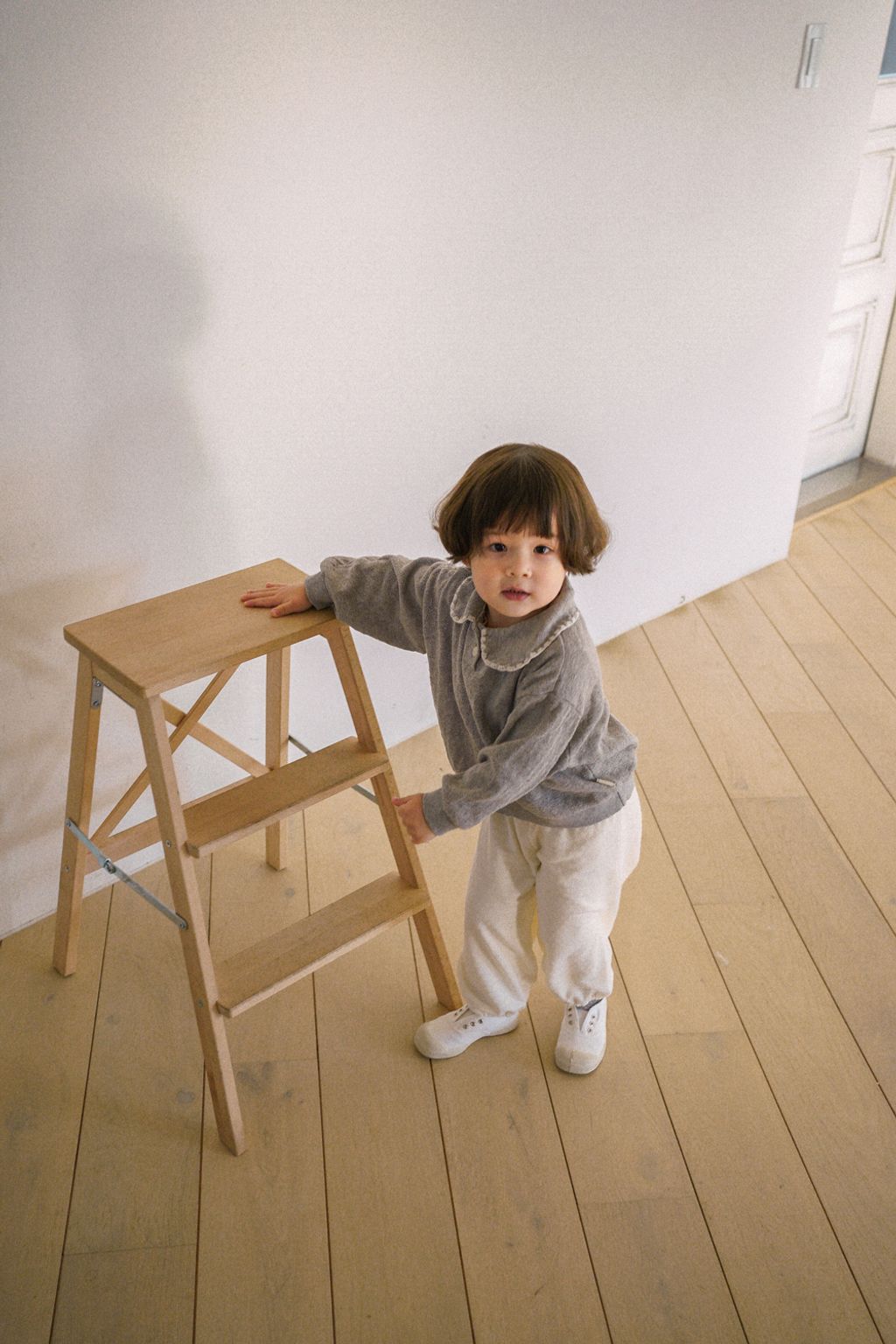 1768796497_8388683441