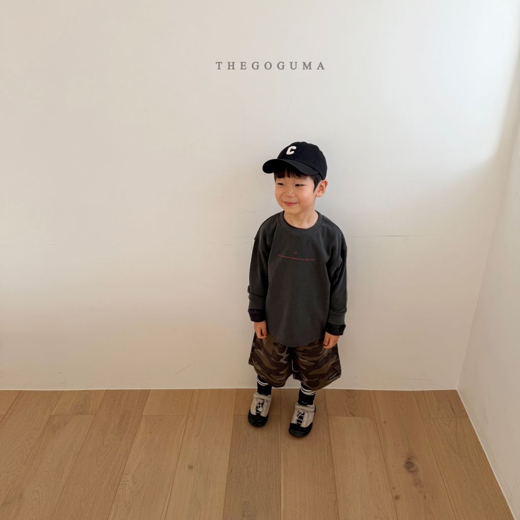 1768829457_4318679619