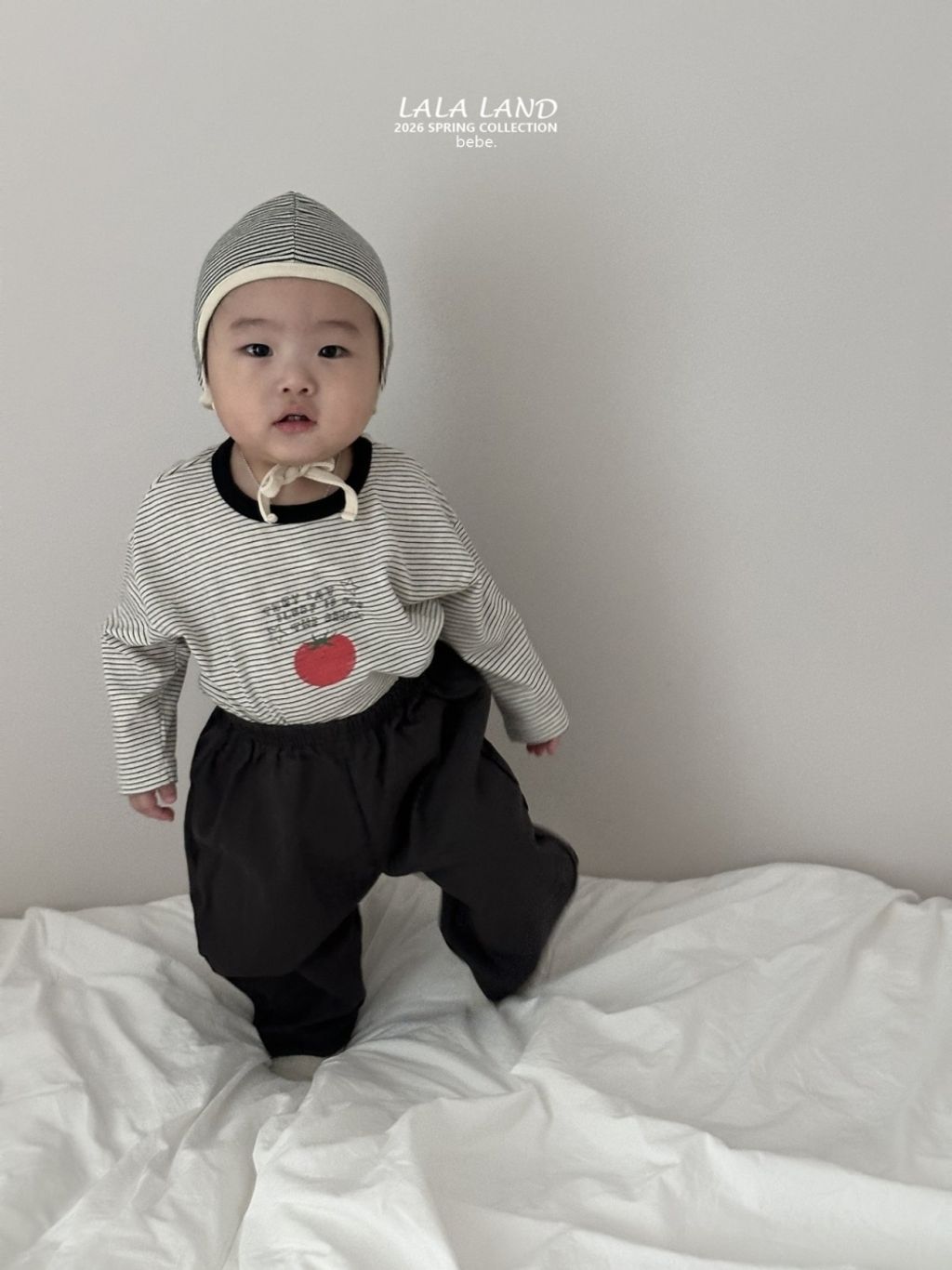 1769509109_4008180832