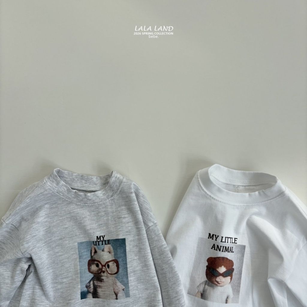 1769508954_5749385739