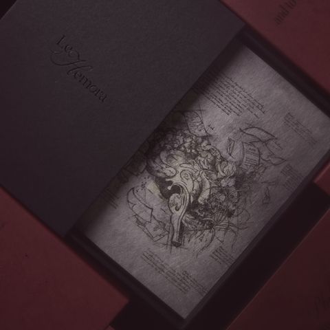 20250528-Hemora19033