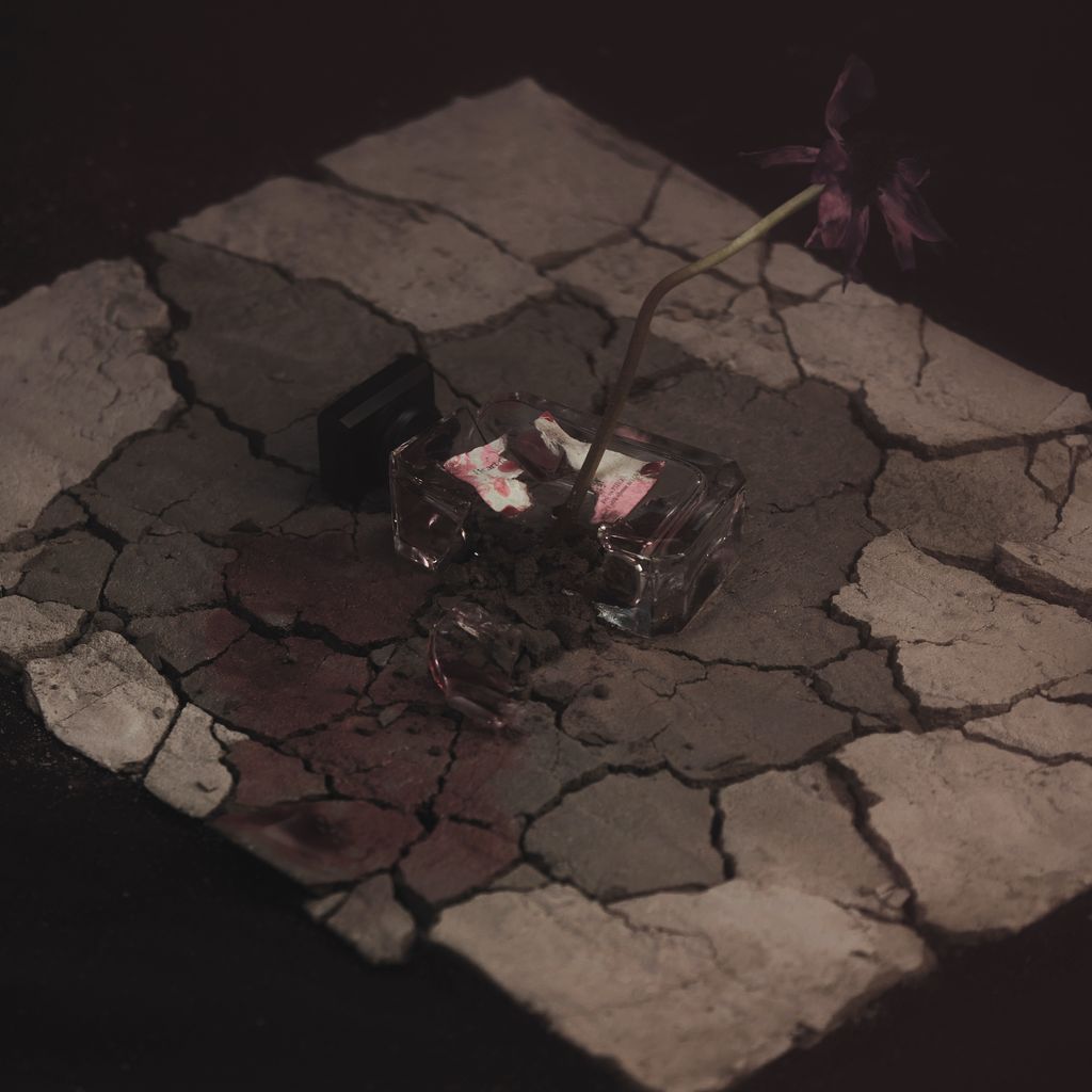 20250528-Hemora18433