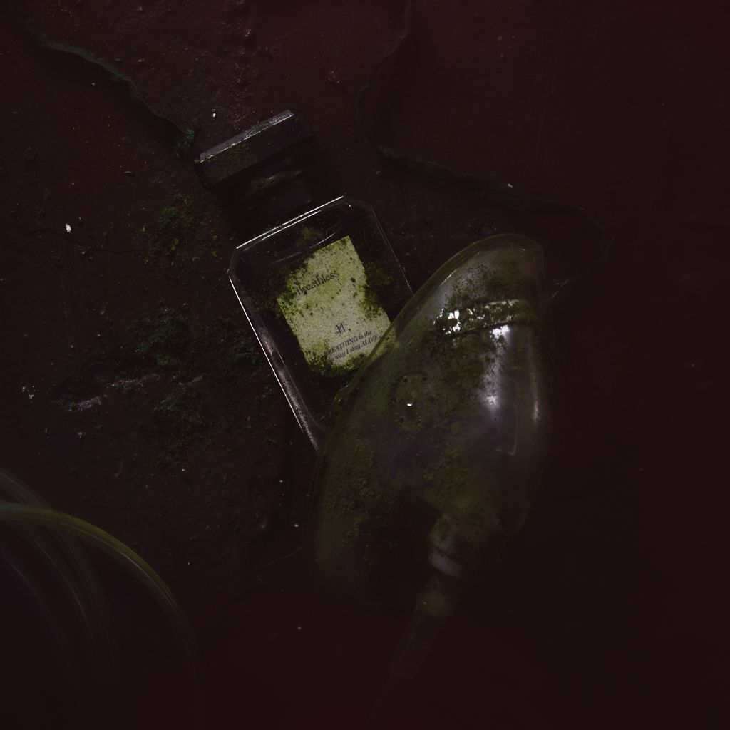 20250528-Hemora18761