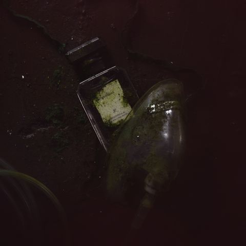 20250528-Hemora18761