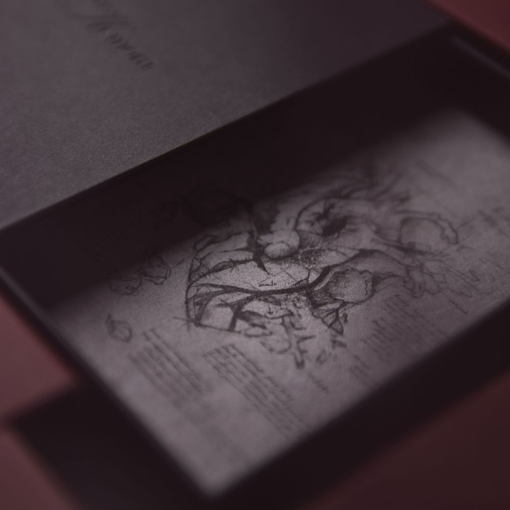 20250528-Hemora19041