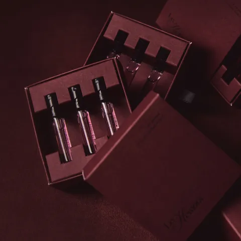 20250528-Hemora19067