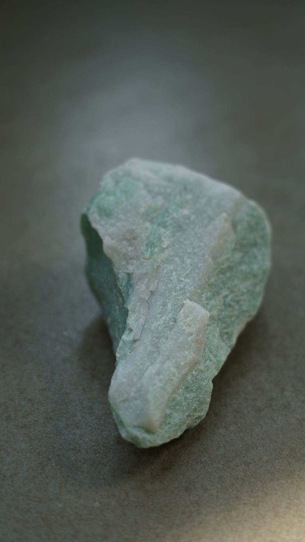 DSC08381