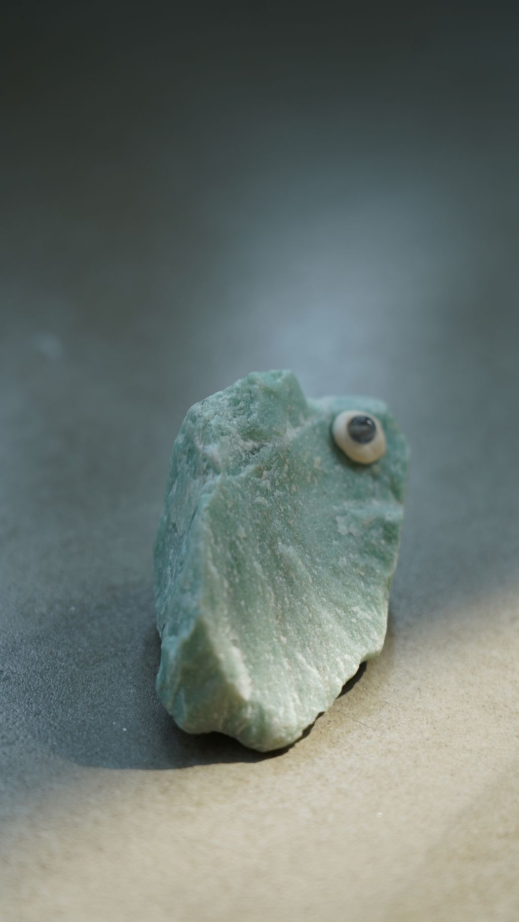 DSC08373