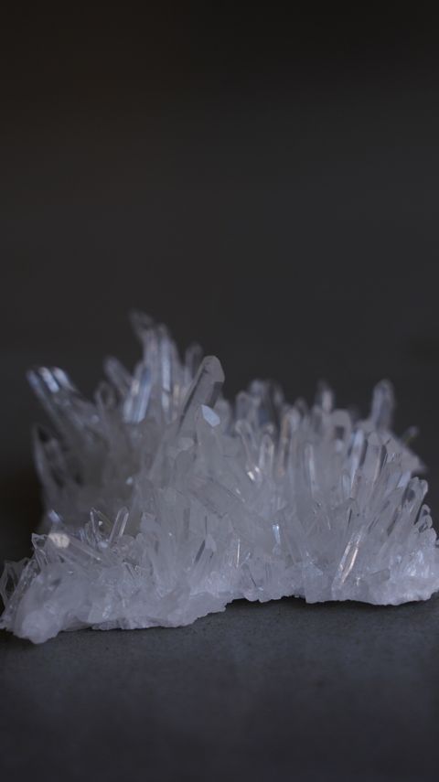 DSC08995
