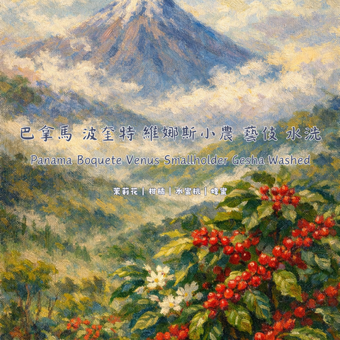 巴拿馬 波奎特 維娜斯小農 藝伎 水洗