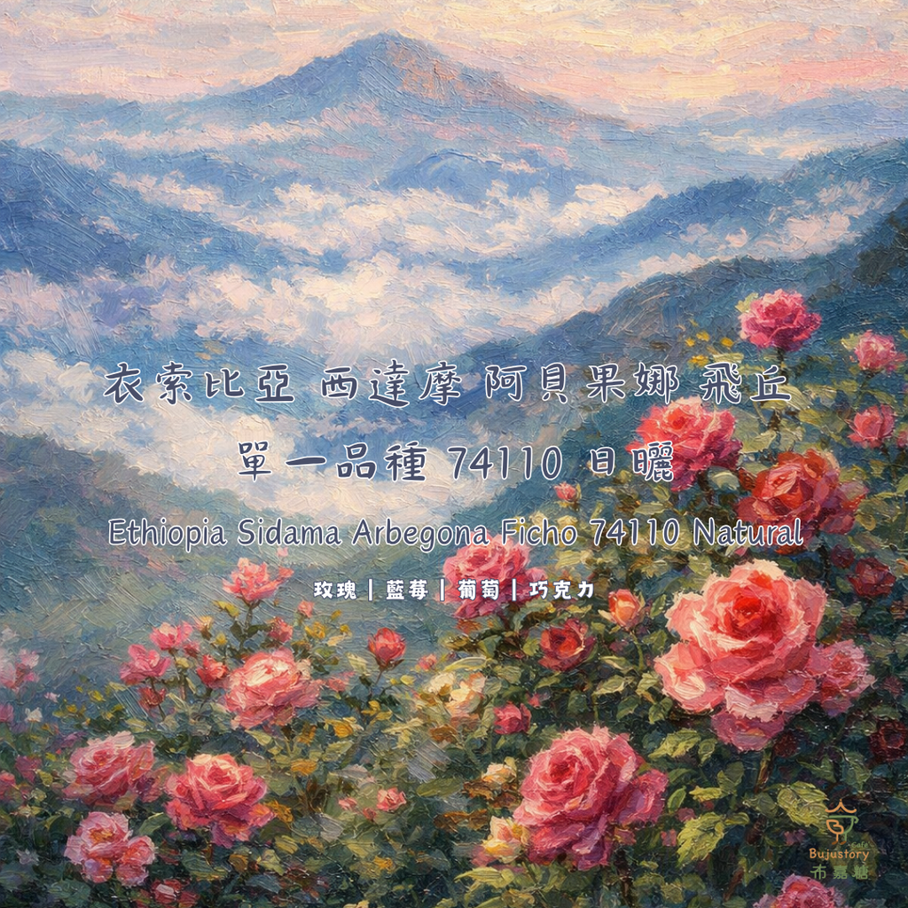 衣索比亞 西達摩 花貝果娜 飛丘 日曬