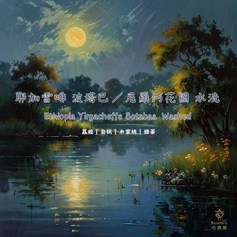 衣索比亞 耶加雪菲 尼羅河 水洗