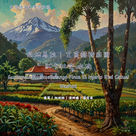 瓜地馬拉 艾因赫特莊園 紅卡度艾 水洗