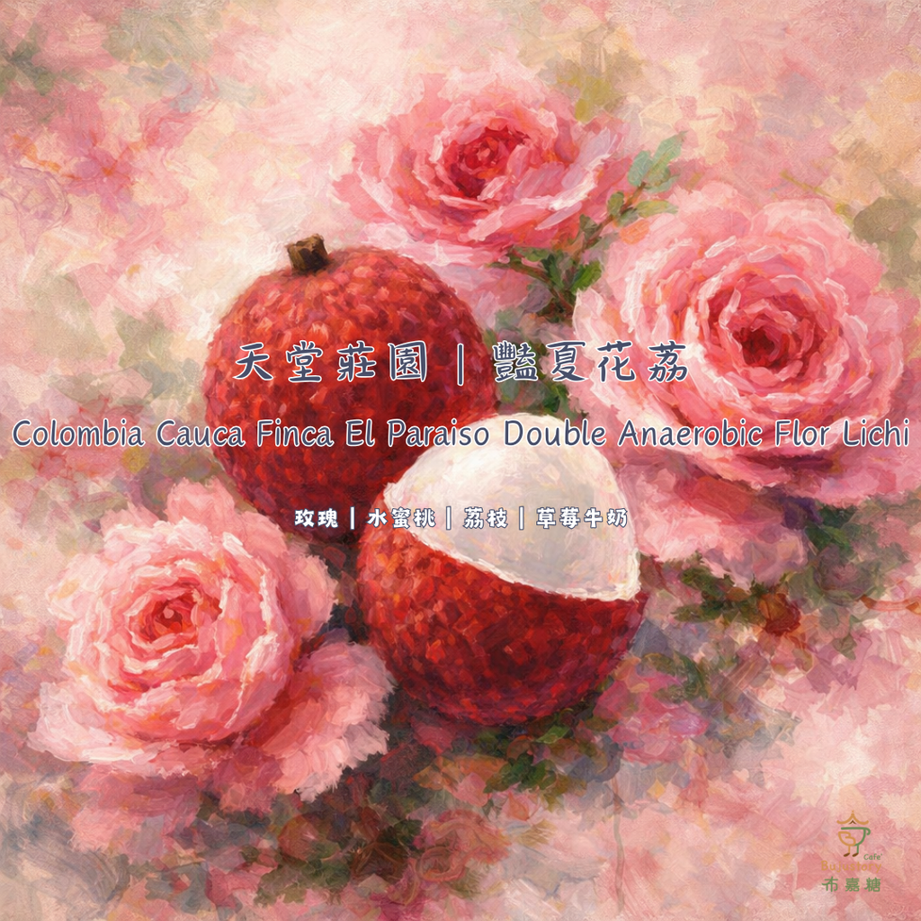 哥倫比亞 天堂莊園 豔夏花荔