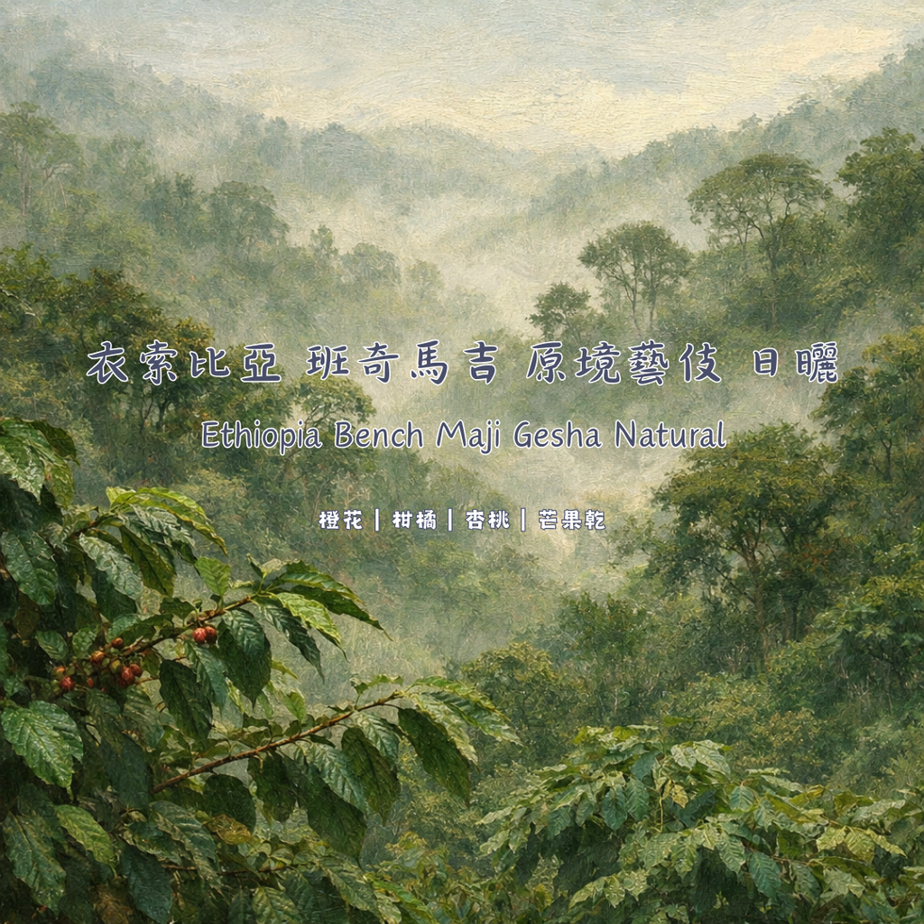 衣索比亞 班奇馬吉 原境藝伎 日曬 封面