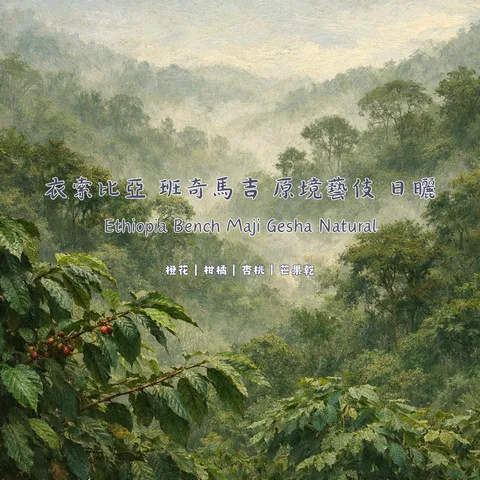 衣索比亞 班奇馬吉 原境藝伎 日曬 封面