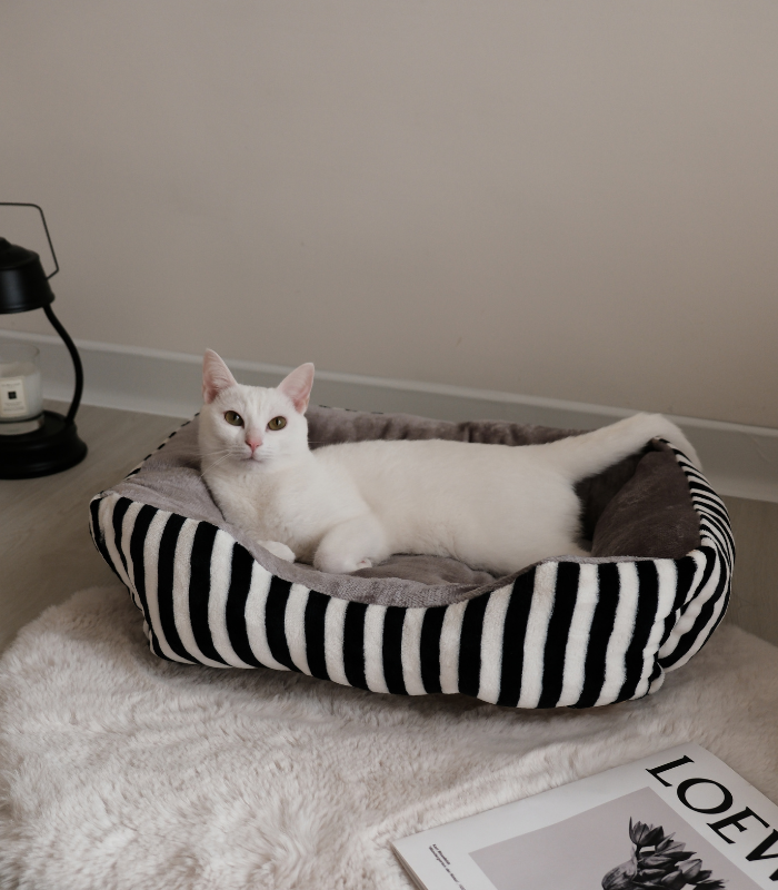 Pamper Your Pet | FÀMINOU 法米諾