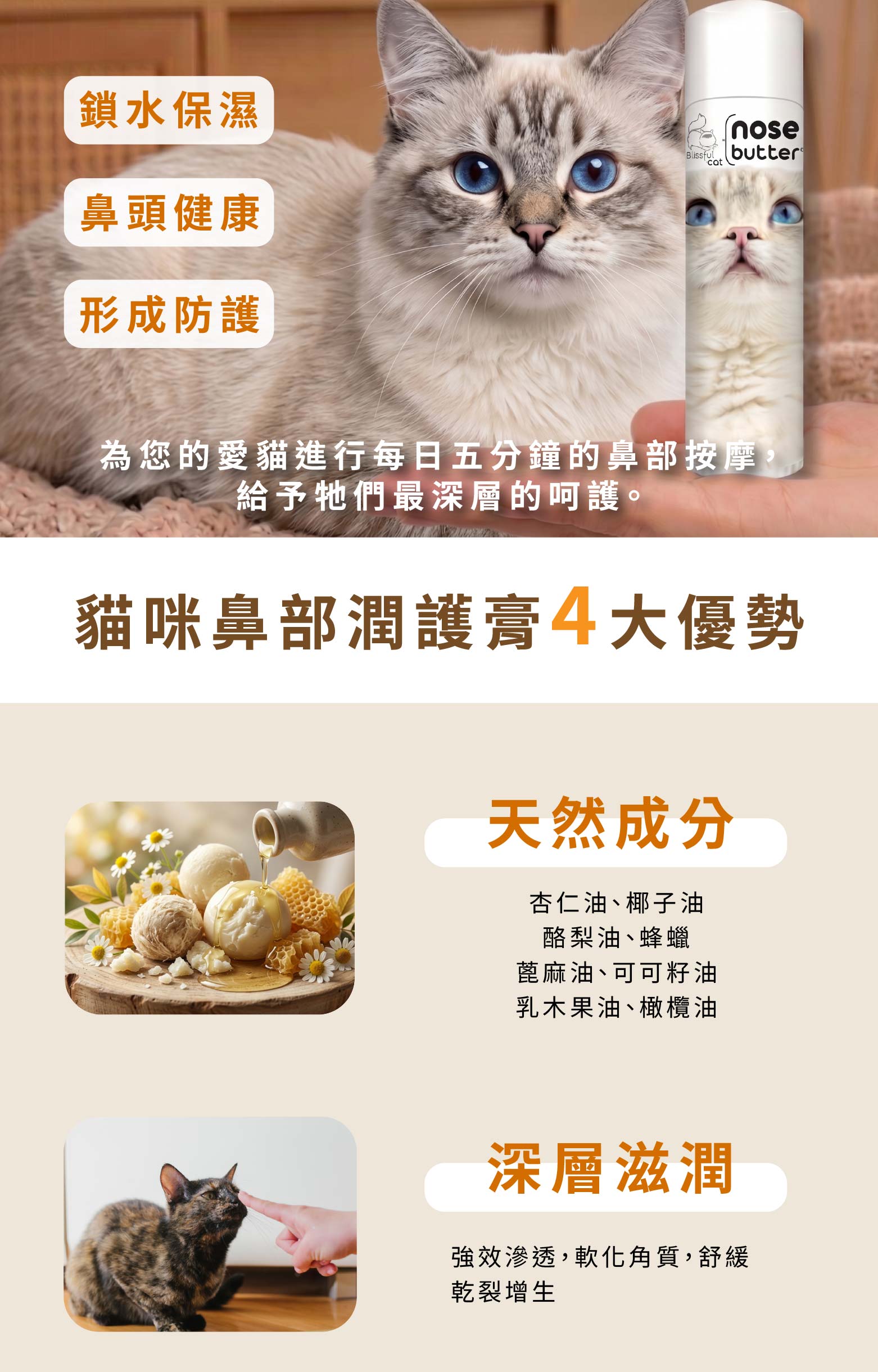 長圖2-01