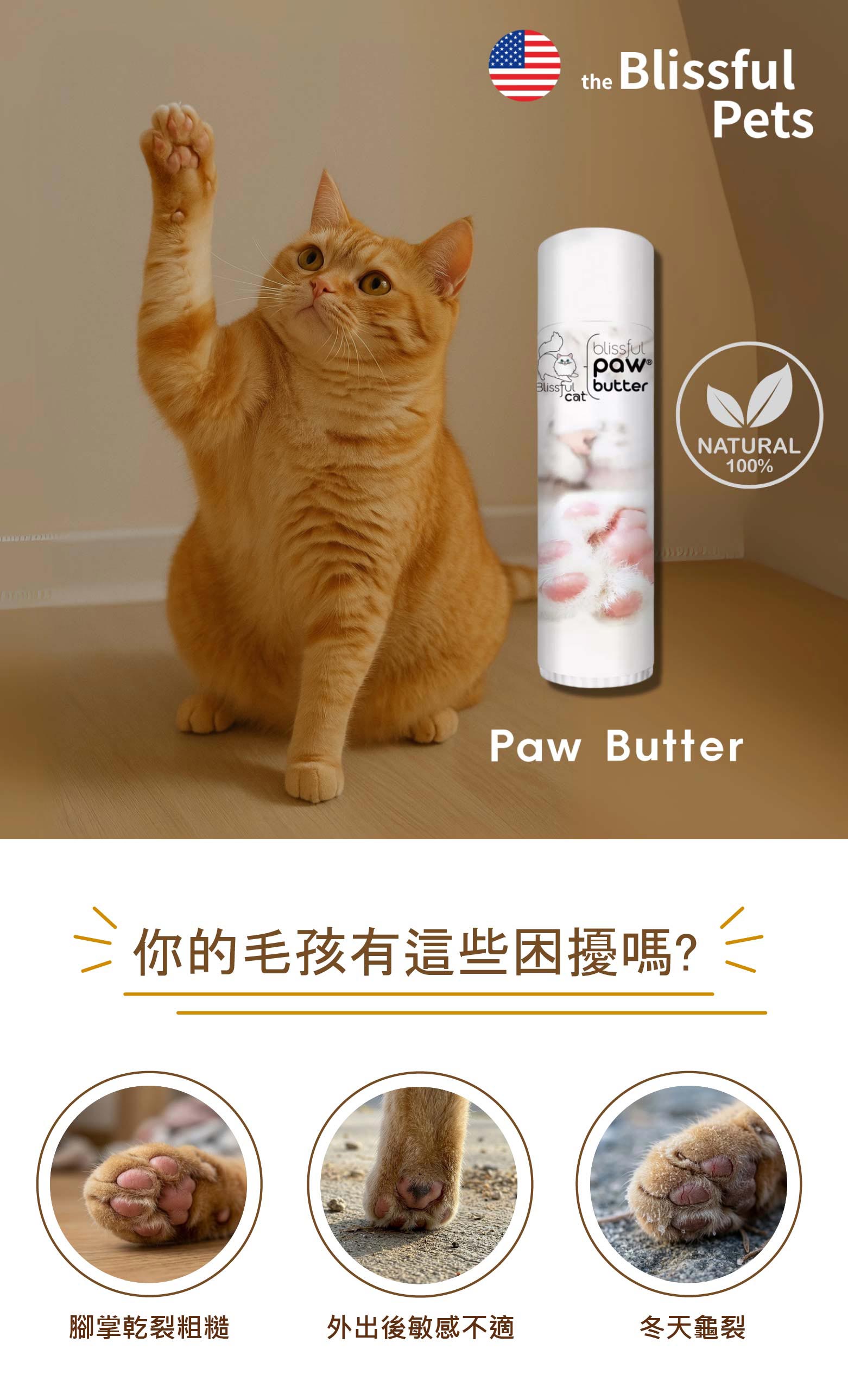paw-butter_cat_01