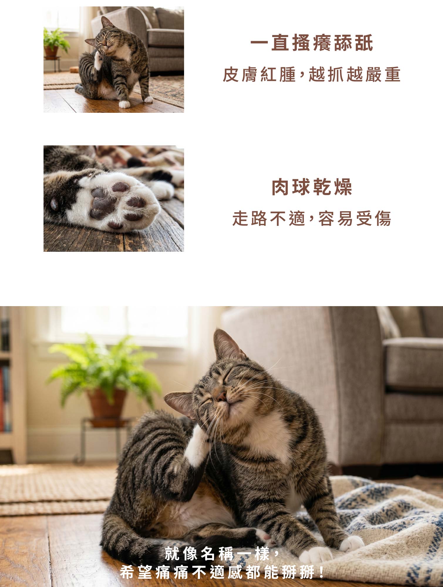 bye bye boo boo長圖-02