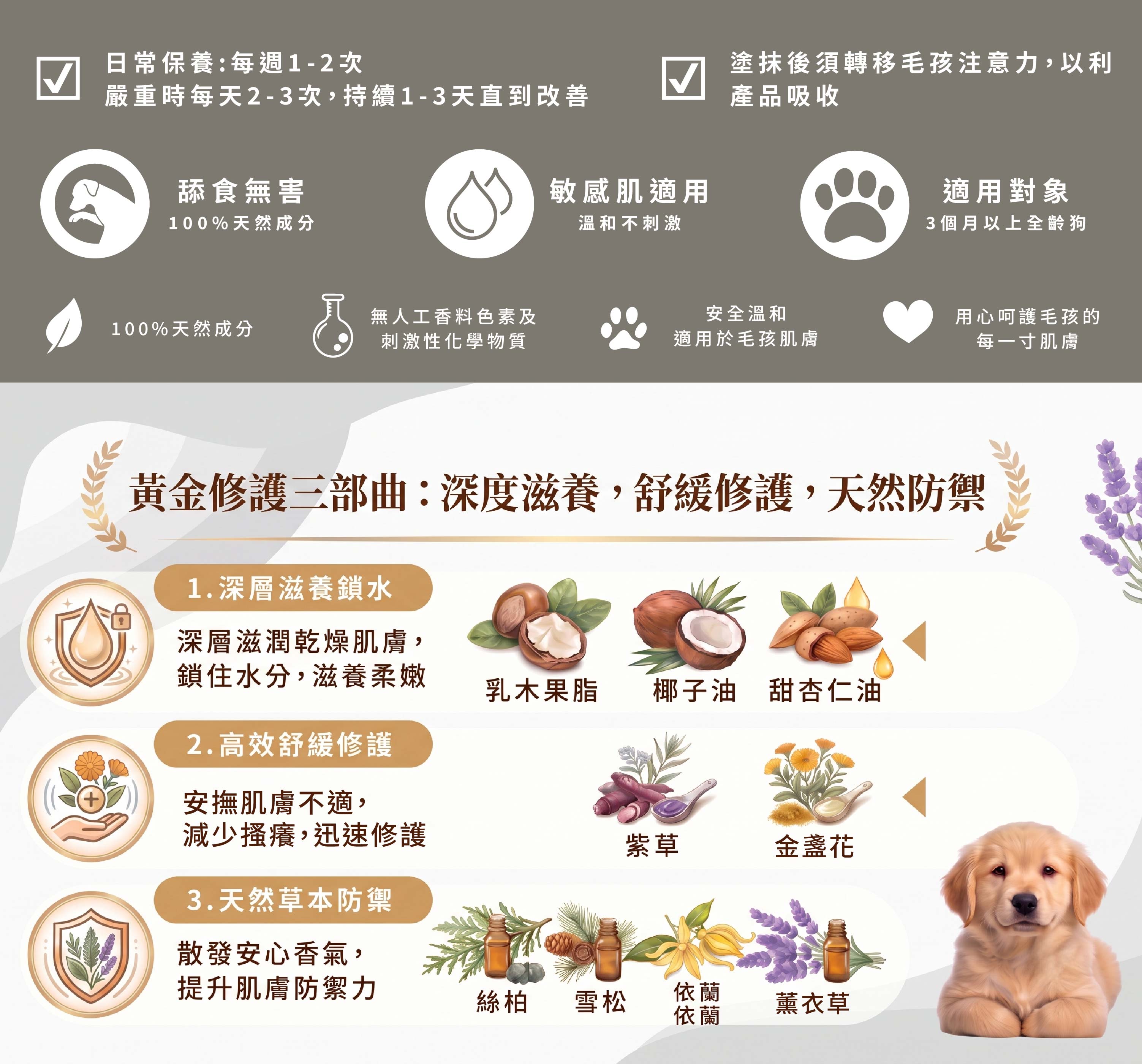 狗狗bye bye boo boo長圖-06