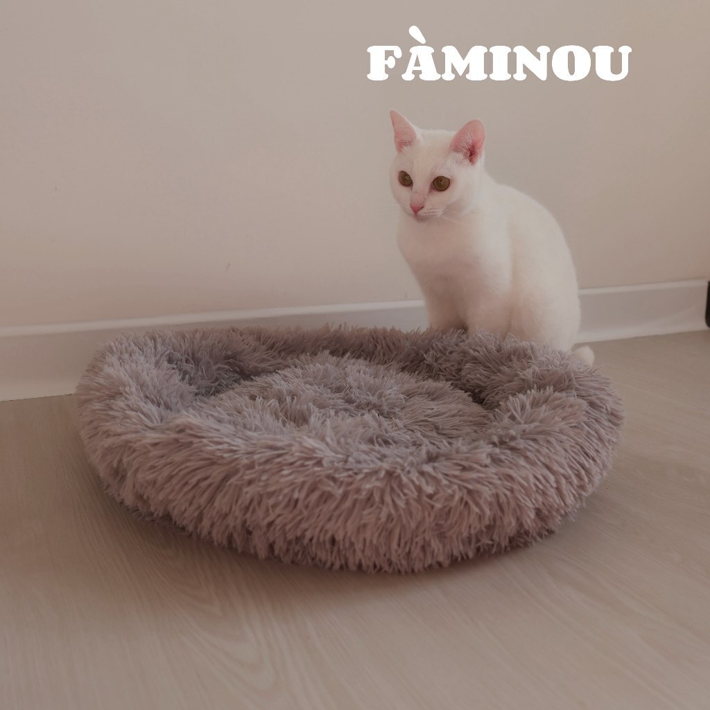 tw-11134207-7rasf-m3neuormjj4q4d