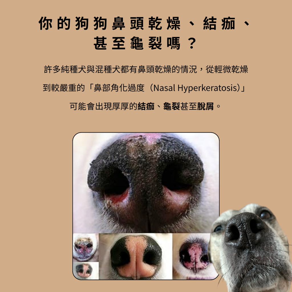 tw-11134207-7ra0s-mc7uq41juhkh93