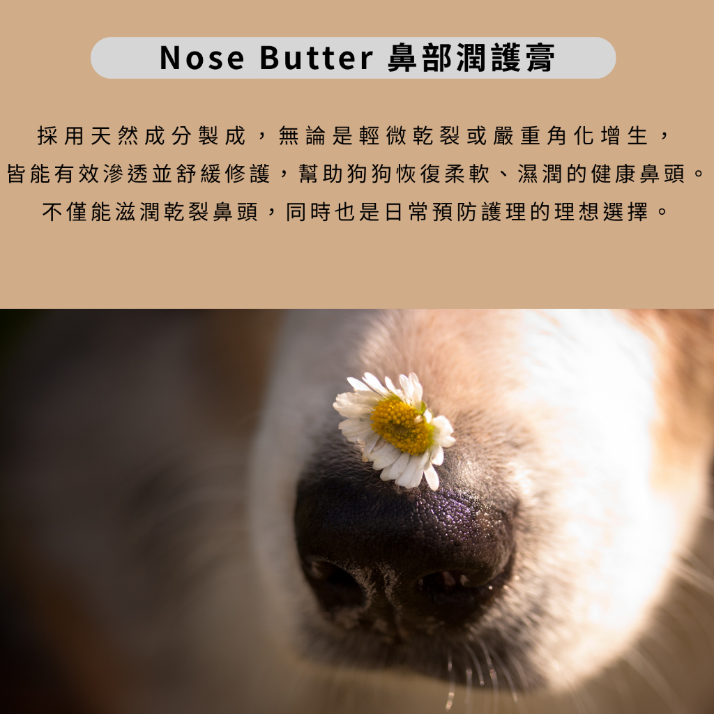 tw-11134207-7ra0j-mc7uq405wia621