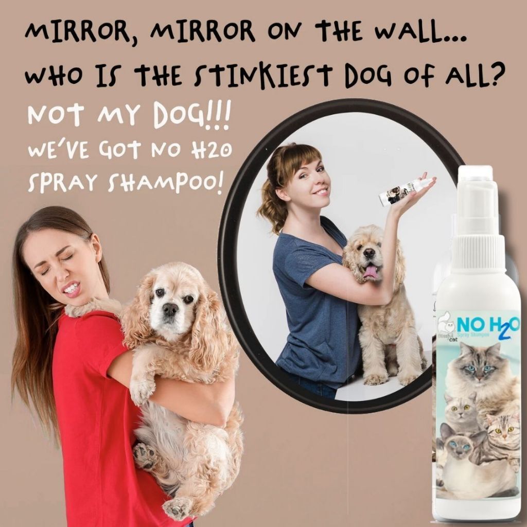 tw-11134207-81ztf-mfmb6jkywikrb0