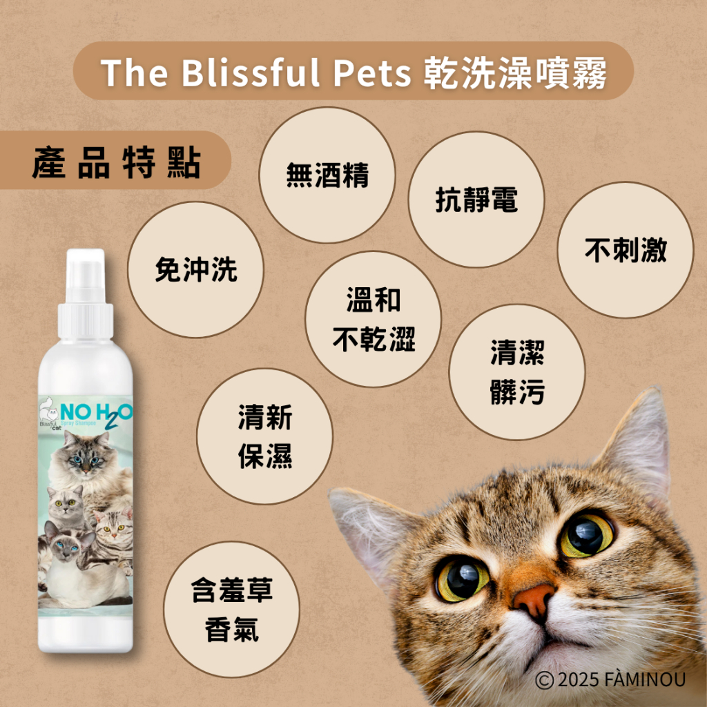 tw-11134207-81zto-mf9gtnvstbm313