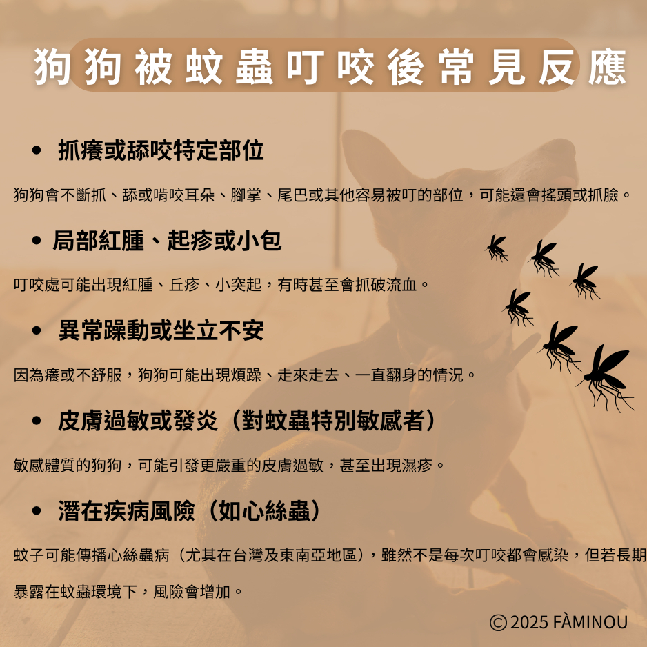 tw-11134207-81ztj-mf2d2r1wmjgs7e