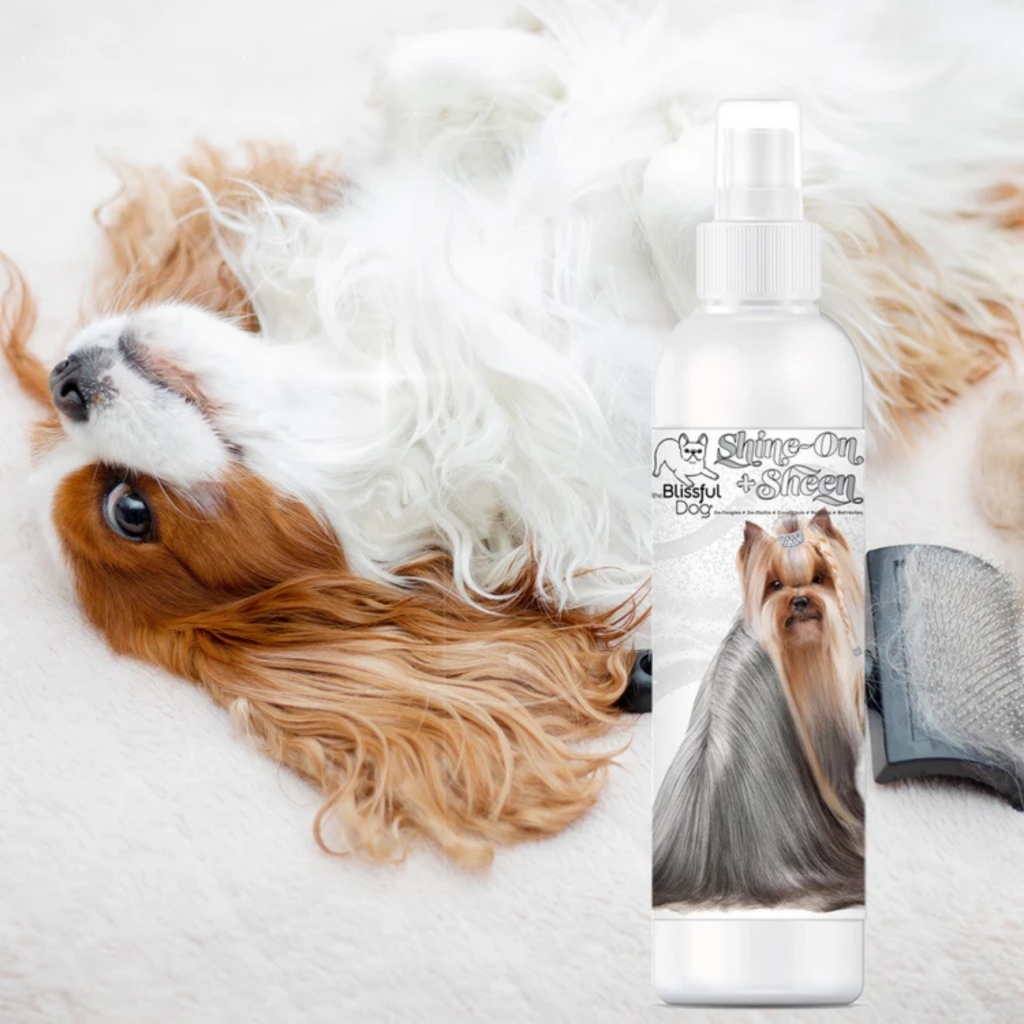 tw-11134207-81ztm-mh36znqgs9os3a