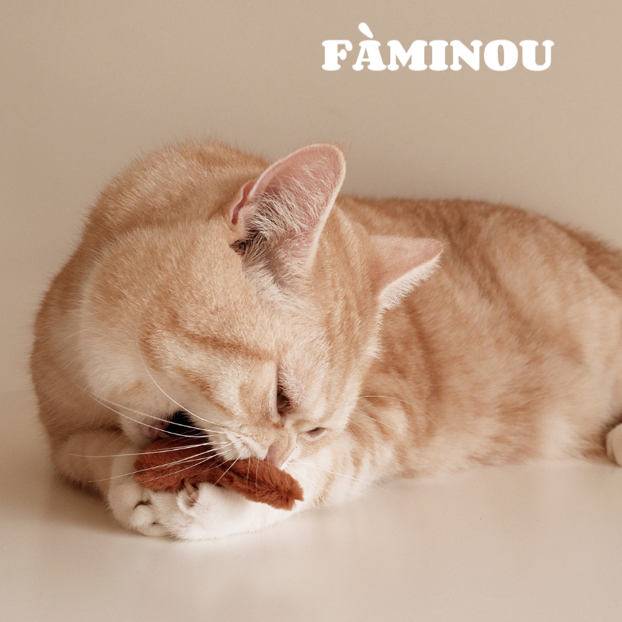 tw-11134207-81zti-mh1qb2996n7vd1