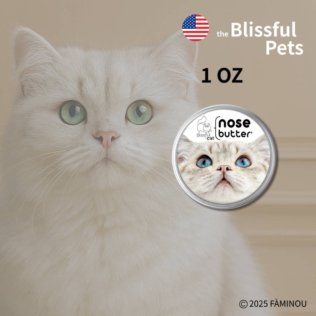 tw-11134207-81ztg-mh6d9ww060i6ad