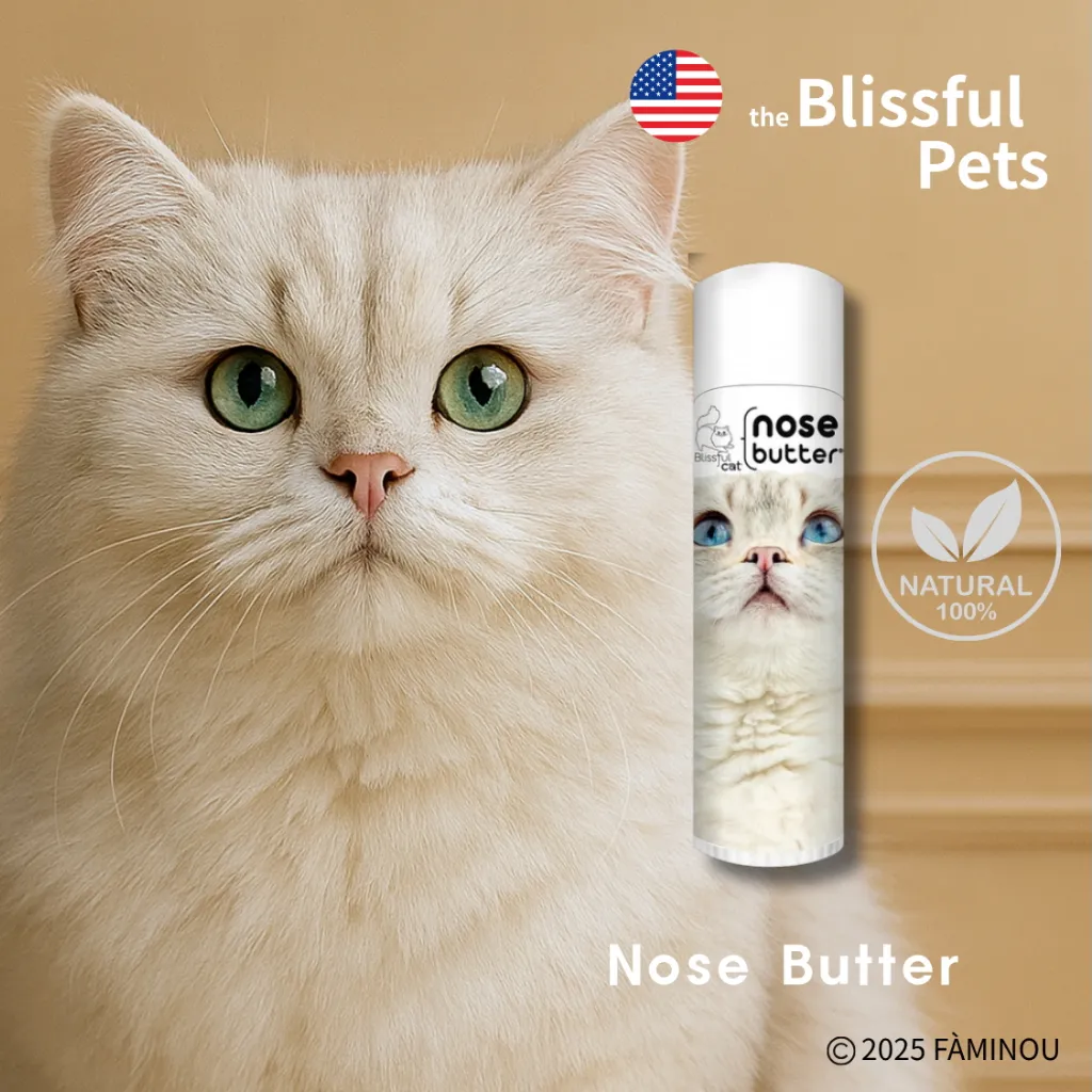 tw-11134207-81ztf-mh6d2x8wh4az53