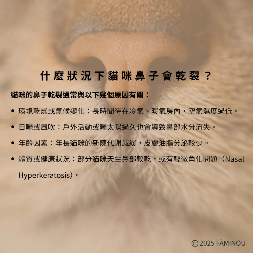 tw-11134207-81ztn-mh6d2x8m93in83