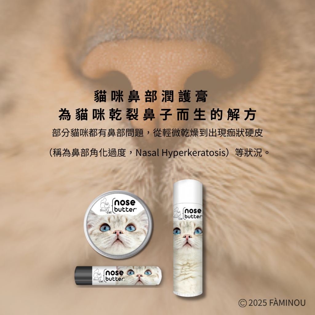 tw-11134207-81ztn-mh6d2x8p0tu614